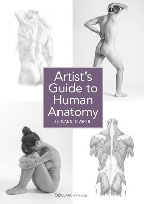 Artist's Guide to Human Anatomy 1
