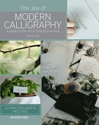 bokomslag The Joy of Modern Calligraphy
