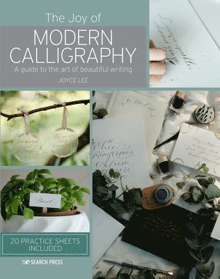 The Joy of Modern Calligraphy 1