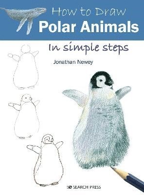 bokomslag How to Draw: Polar Animals