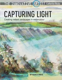 bokomslag Innovative Artist: Capturing Light