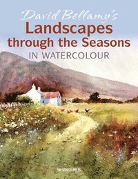 bokomslag David Bellamys Landscapes through the Seasons in Watercolour