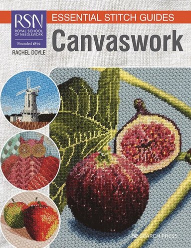 bokomslag RSN Essential Stitch Guides: Canvaswork