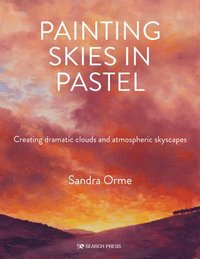 bokomslag Painting Skies in Pastel