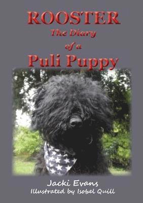 Rooster - the Diary of a Puli Puppy 1