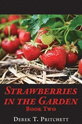 Strawberries in the Garden 1