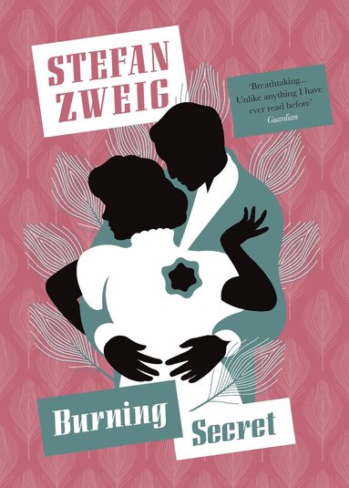 Stefan Zweig - Burning Secret, Häftad