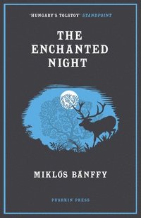 bokomslag The Enchanted Night