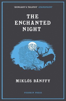 Enchanted Night 1