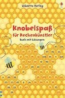 bokomslag Knobelspaß für Rechenkünstler - Buch mit Lösungen