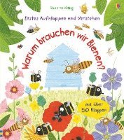 bokomslag Erstes Aufklappen und Verstehen: Warum brauchen wir Bienen?