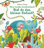 bokomslag Mein buntes Gucklochbuch: Bist du das, kleiner Elefant?