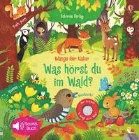 bokomslag Klänge der Natur: Was hörst du im Wald?