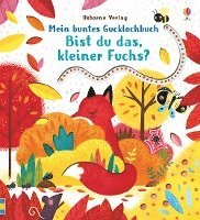 bokomslag Mein buntes Gucklochbuch: Bist du das, kleiner Fuchs?