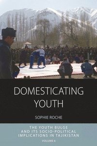 bokomslag Domesticating Youth