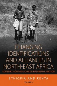 bokomslag Changing Identifications and Alliances in North-east Africa
