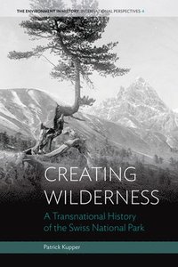 bokomslag Creating Wilderness