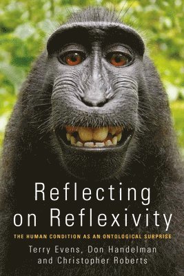 Reflecting on Reflexivity 1