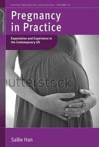bokomslag Pregnancy in Practice
