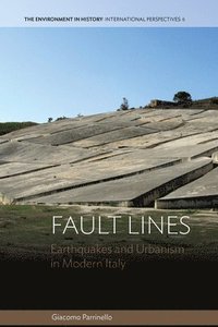 bokomslag Fault Lines