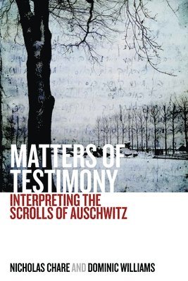 Matters of Testimony 1