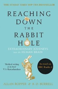 bokomslag Reaching Down the Rabbit Hole: Extraordinary Journeys into the Human Brain