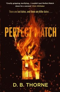 bokomslag Perfect Match