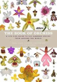 bokomslag The Book of Orchids