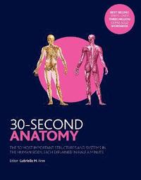 bokomslag 30-second anatomy - the 50 most important structures and systems in the hum