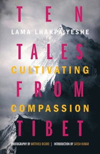 bokomslag Ten tales from tibet - cultivating compassion
