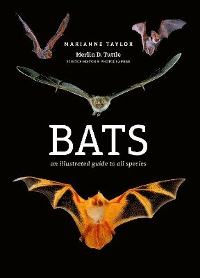 Bats 1