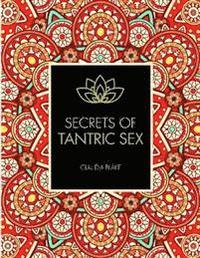 bokomslag Secrets of tantric sex