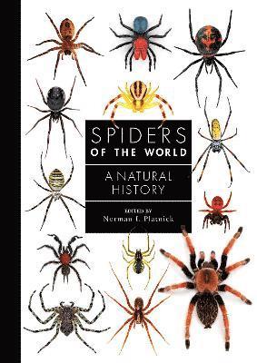 bokomslag Spiders of the World
