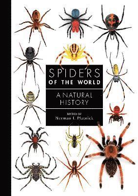 Norman Platnick - Spiders of the World, Inbunden