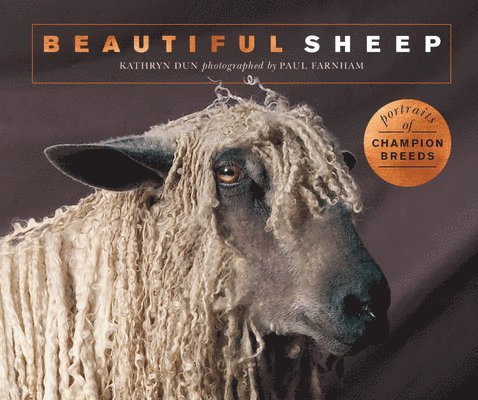 Dun, K: Beautiful Sheep