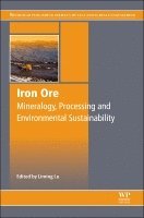 bokomslag Iron Ore