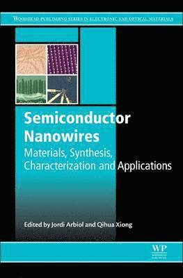 bokomslag Semiconductor Nanowires