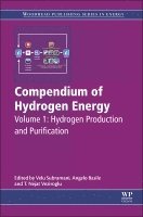 Velu Subramani, Angelo Basile, T. Nejat Veziroglu - Compendium of Hydrogen Energy, Inbunden