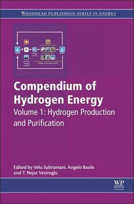 bokomslag Compendium of Hydrogen Energy