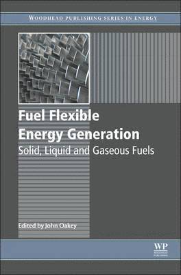 Fuel Flexible Energy Generation 1