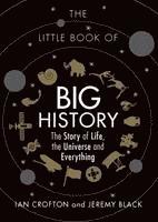 bokomslag The Little Book of Big History
