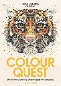 bokomslag Colour Quest¿