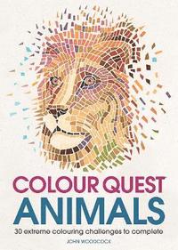 bokomslag Colour Quest Animals