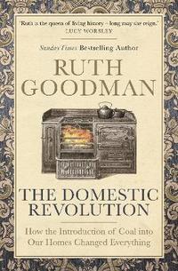 bokomslag The Domestic Revolution