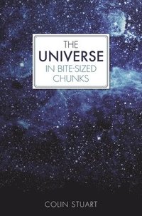bokomslag The Universe in Bite-sized Chunks