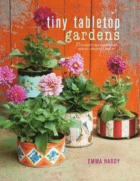 bokomslag Tiny Tabletop Gardens: 35 Projects for Super-Small Spaces-Outdoors and in