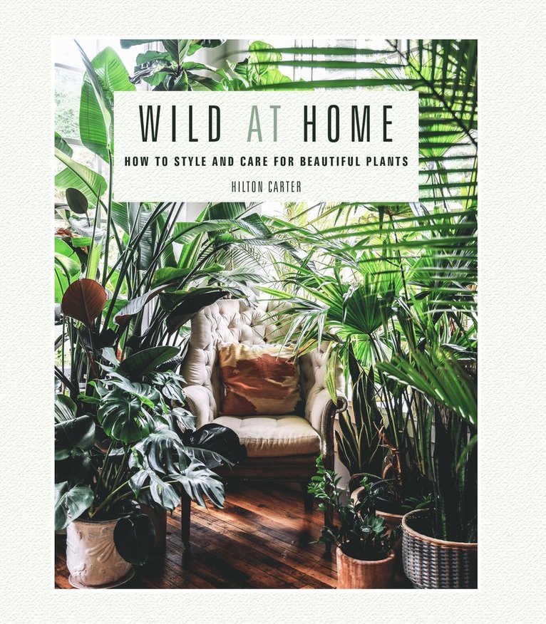 Hilton Carter - Wild at Home, Inbunden