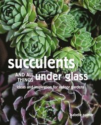 bokomslag Succulents and All things Under Glass