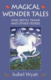 bokomslag Magical Wonder Tales