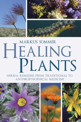 Markus Sommer - Healing Plants: Herbal Remedies from Traditional to Anthroposophical Medicine, Häftad